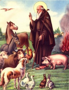 Saint Anthony the Abbot - an image used to depict Legba in Houngan Matt's lineage